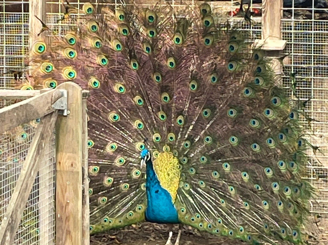 Núcleo Zoológico Iris-Barbastro必去景点