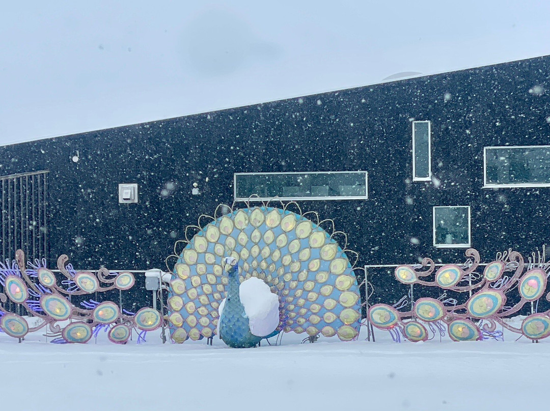 Lakeview Wine Co.-滨湖尼亚加拉必去景点