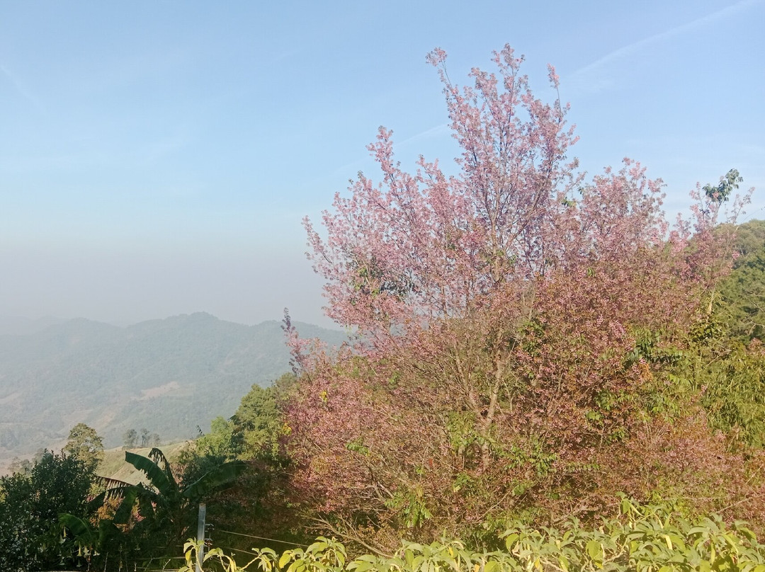 Khun Sathan National Park景点图片