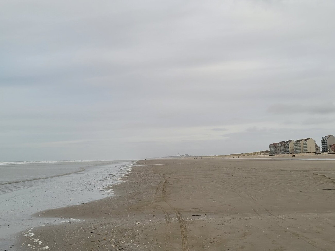 Reserve Naturelle Dune Marchand景点图片
