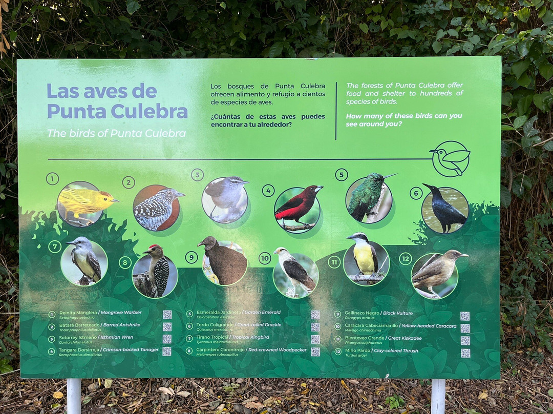 Punta Culebra Nature Center景点图片