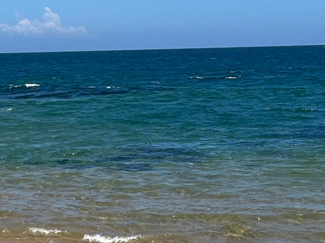 Bombaca Beach-Barra Grande必去景点