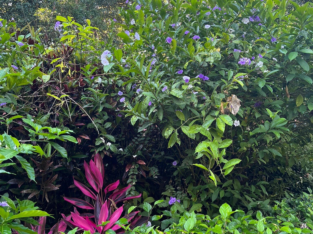 Hotel La Dolce Vita主图