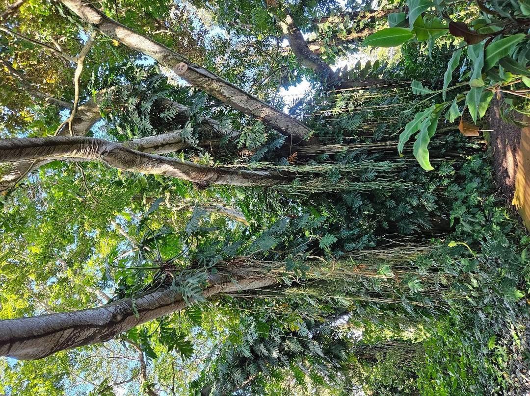 瓦西瓦植物园-瓦西瓦必去景点