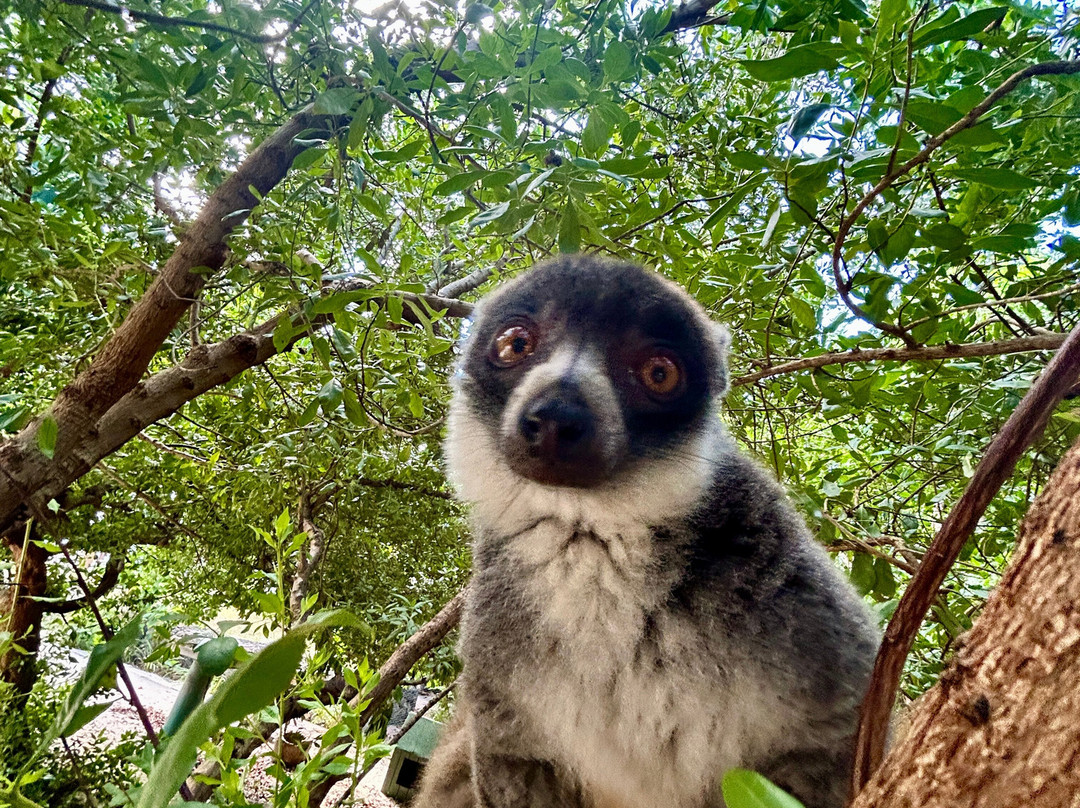 Sea It Clear Tours-North Sound必去景点