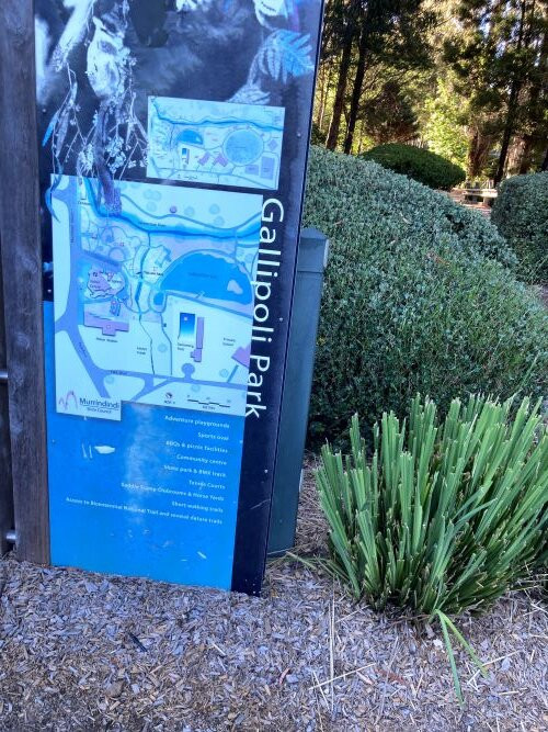 Gallipoli Park景点图片