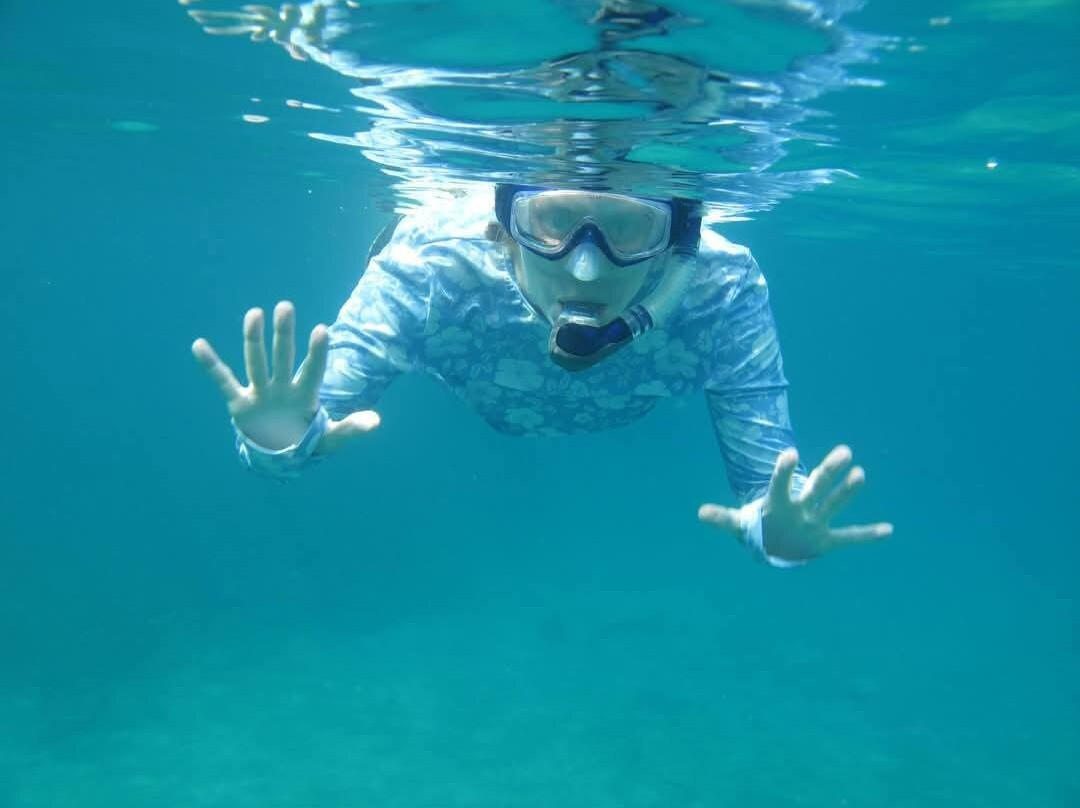 The Diveshop Curacao-威廉斯塔德必去景点