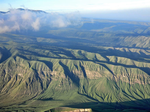 Grey Joy Safari Adventures-阿鲁沙必去景点