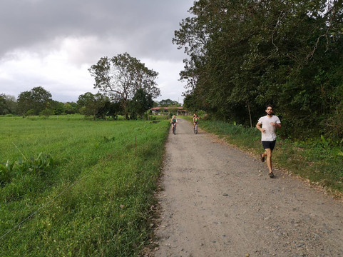 Coquira Soil Project