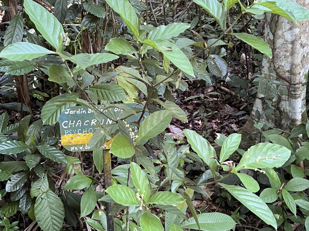 Jardin Botanico Bio-Kuka-Pucallpa必去景点