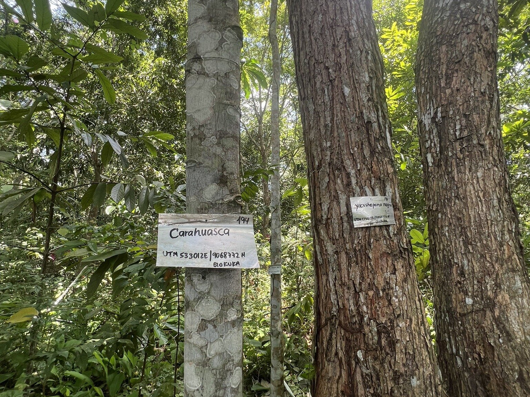 Jardin Botanico Bio-Kuka-Pucallpa必去景点