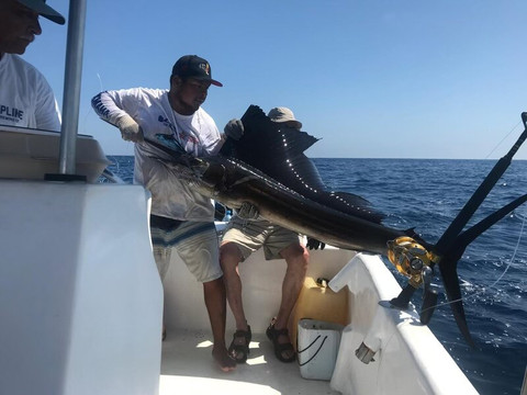 Los Reyes Sportfishing Charters-埃斯孔迪多港必去景点