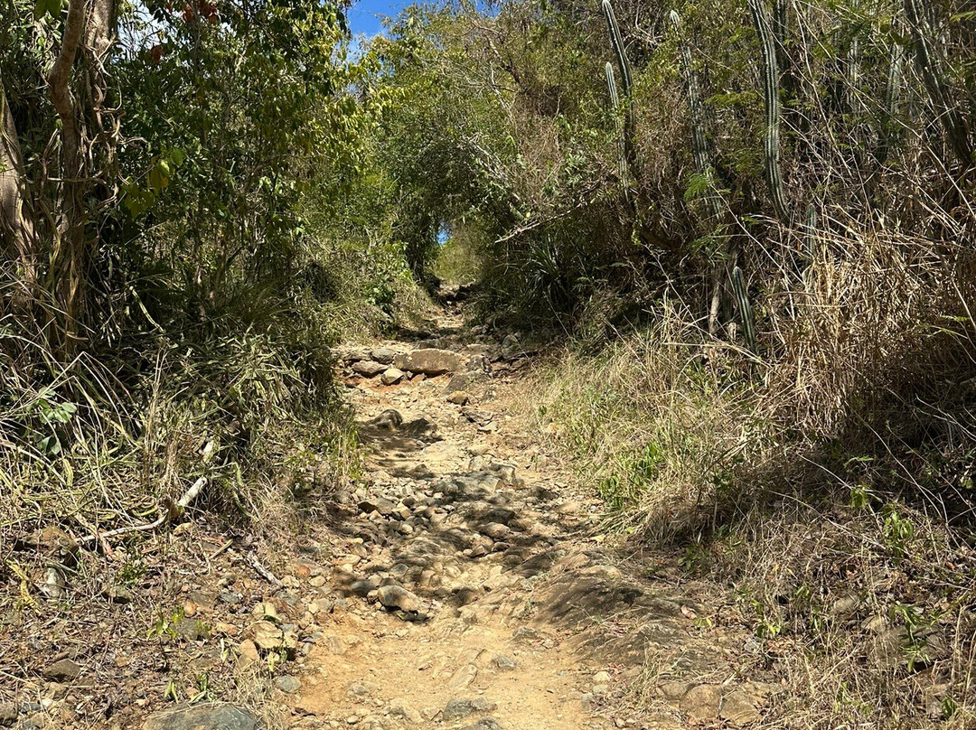 Lind Point Trail-克鲁兹湾必去景点