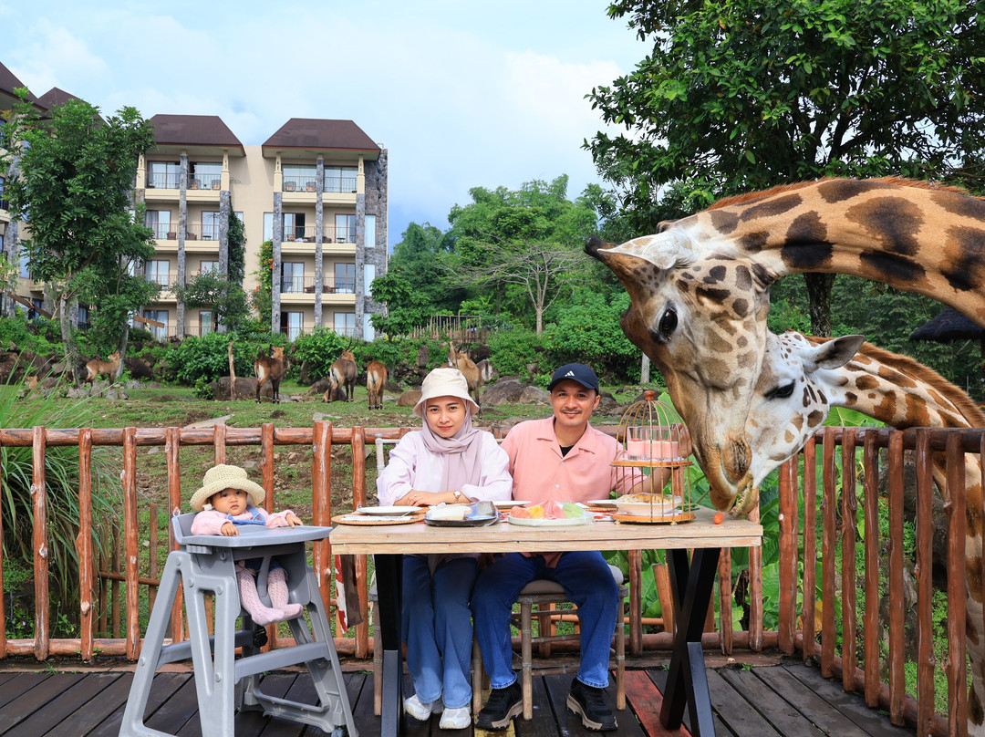 Baobab Safari Resort主图