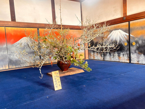 Daigo-ji Temple Sanboin Palace Garden-京都市必去景点