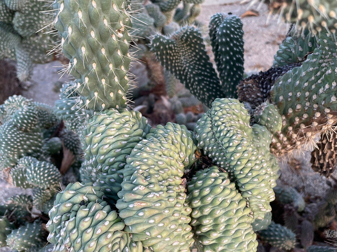 Stanlunds Inn and Suites主图