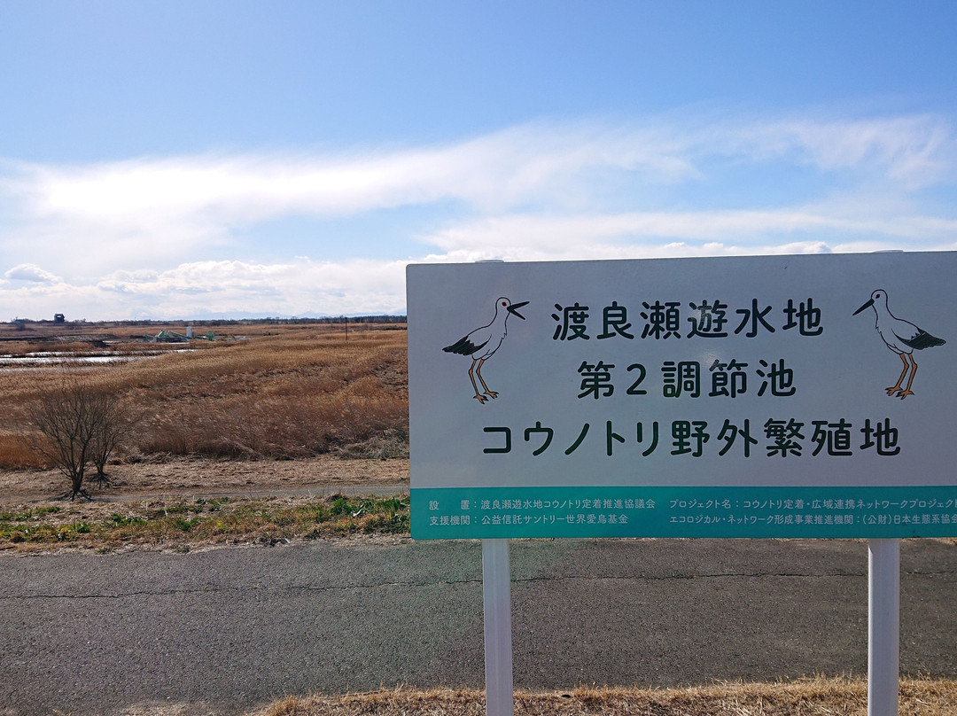 Namaizakurazutsumi-小山市必去景点