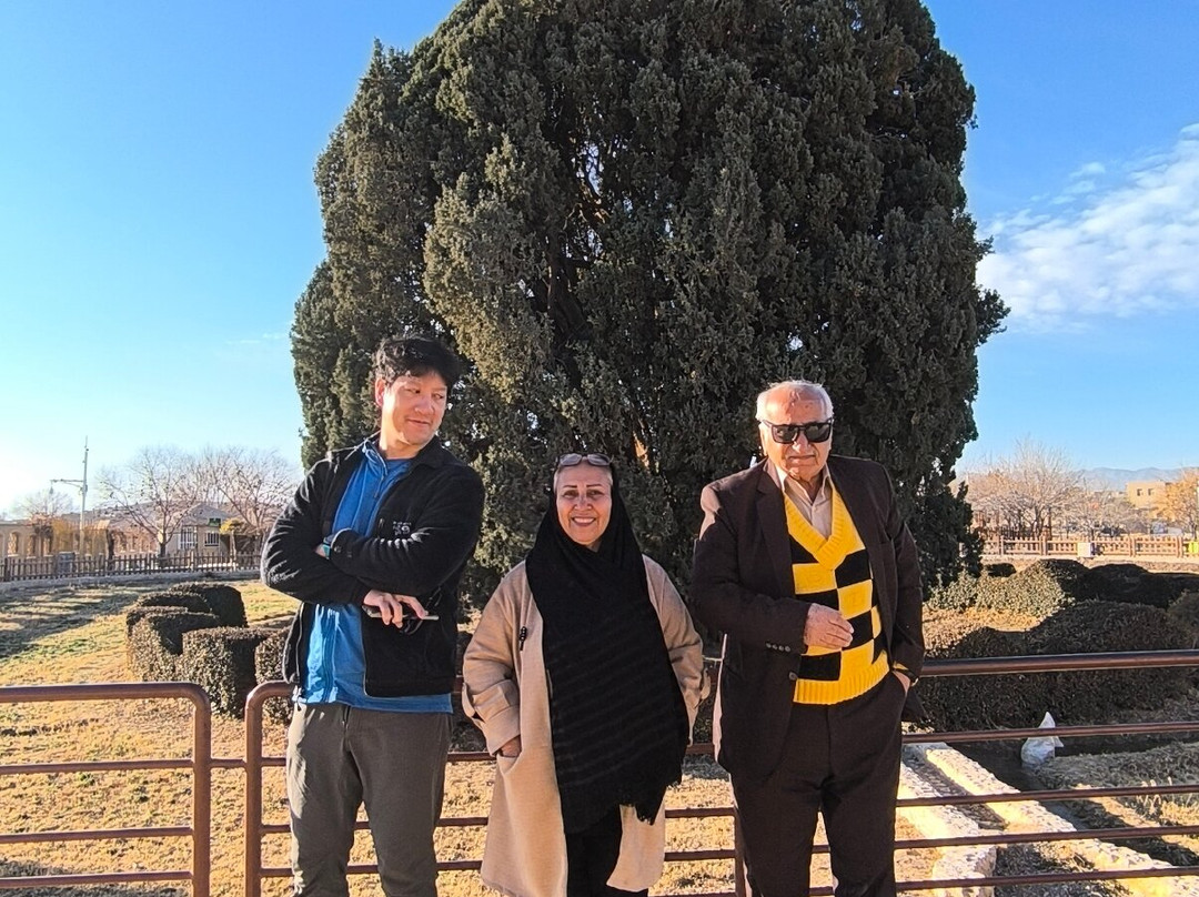 Cypress of Abarkuh景点图片