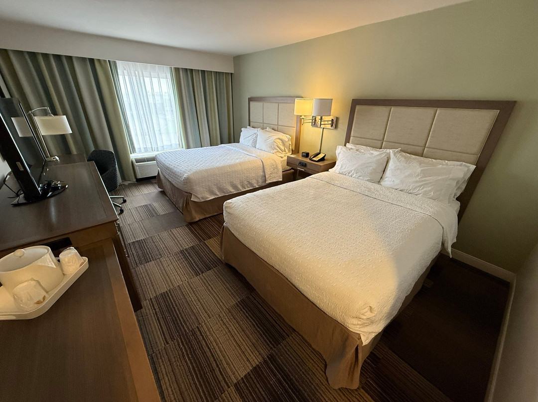 Hampton Inn & Suites New Orleans-Elmwood/Clearview Parkway Area主图