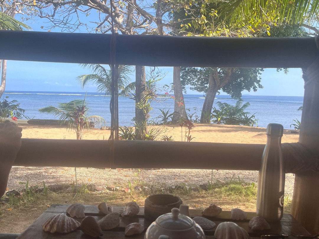 Cashew Grove Beach Resort主图