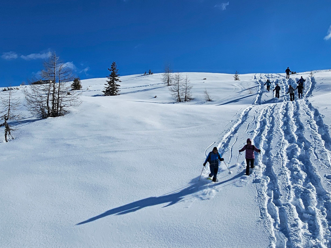 Premium Wanderhotel Steirerhof主图