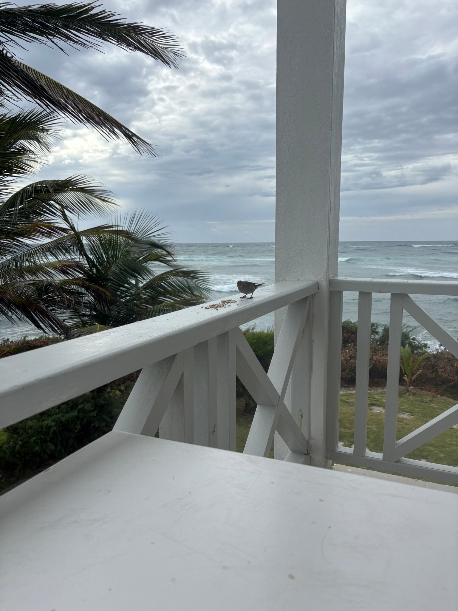 Ocean Spray Beach Apartments-官方