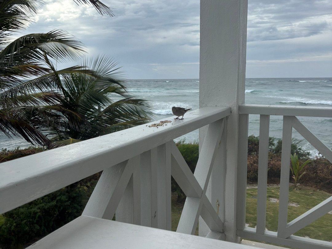 Ocean Spray Beach Apartments主图