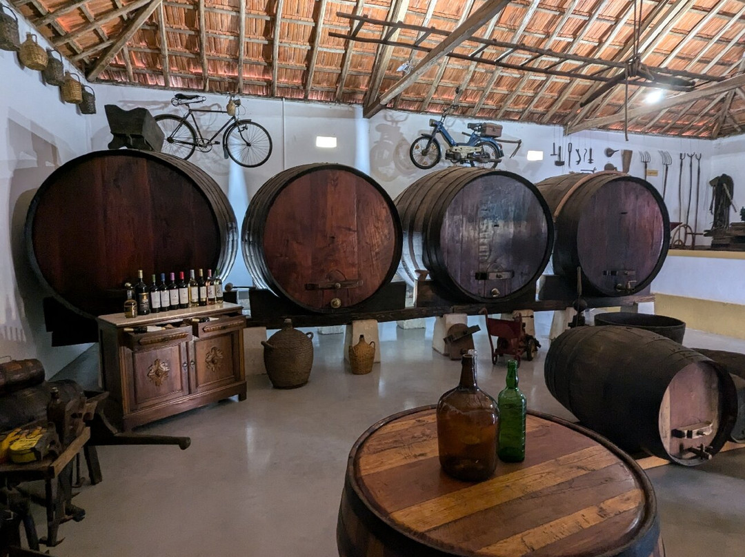 Vinhos Franco景点图片