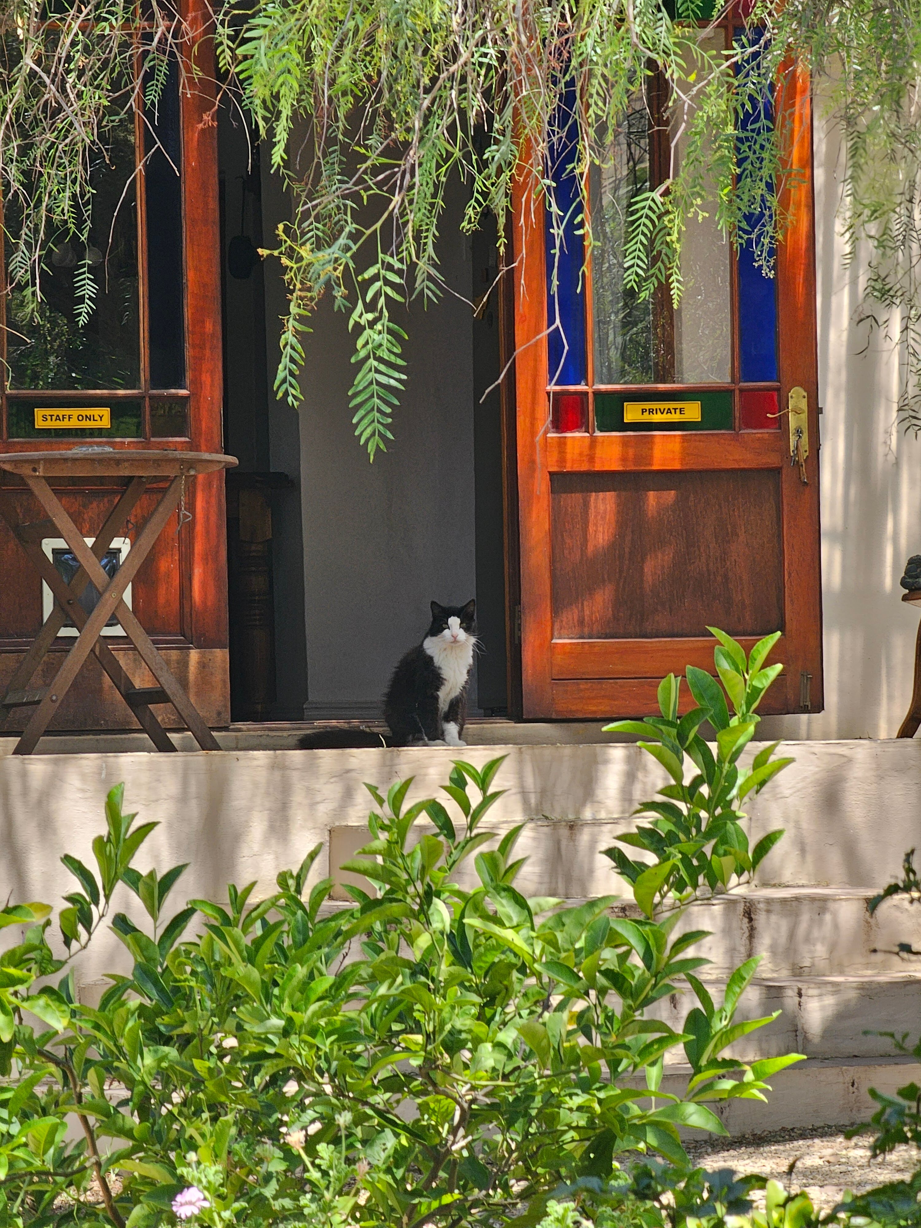 Darling Lodge Guest House-浴室