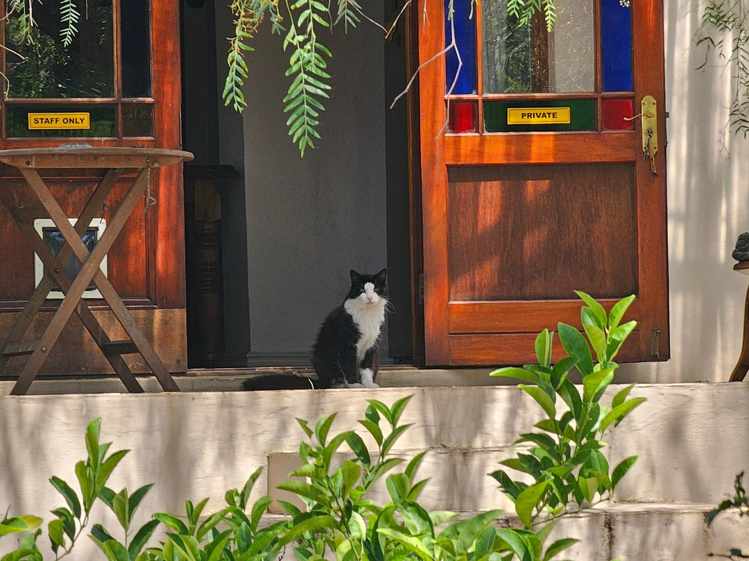 Darling Lodge Guest House主图