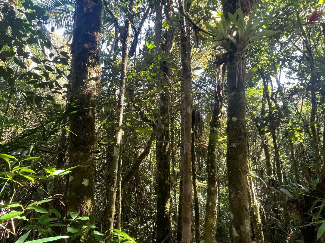Parque Estadual da Serra do Mar-Cunha必去景点