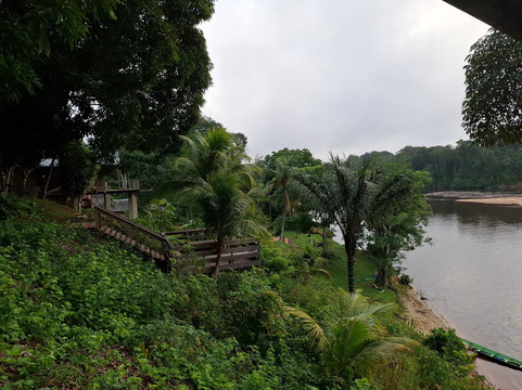 Inside Suriname Tours-帕拉马里博必去景点