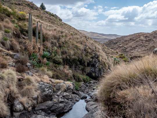 Highland Ethiopia Tours-贡德尔必去景点