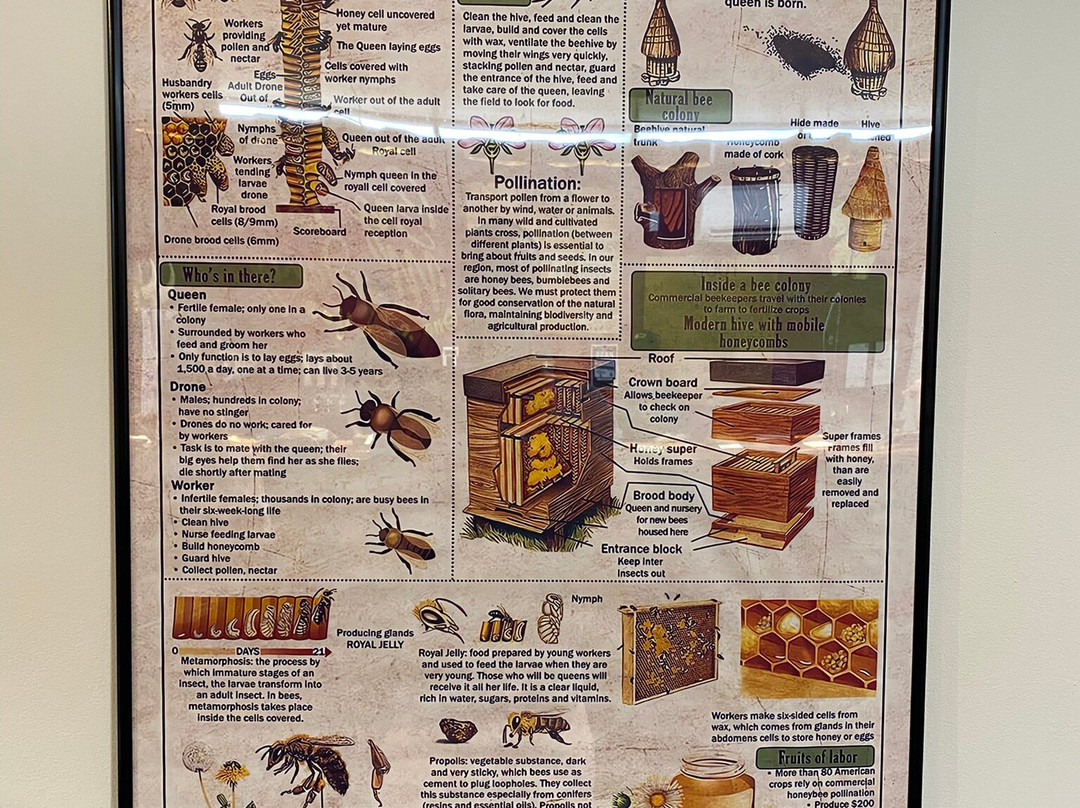 Big Island Meadery LLC-可亚奥必去景点