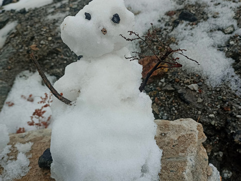 Walk Sikkim Tours And Travels-甘托克必去景点