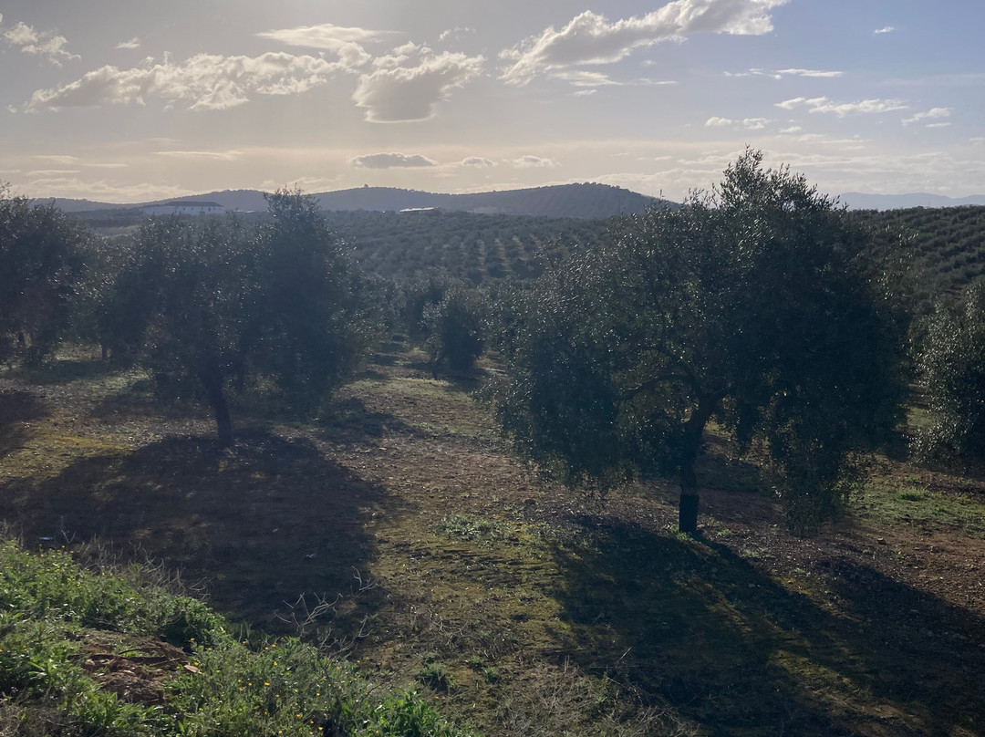 Cortijo Carrillo主图