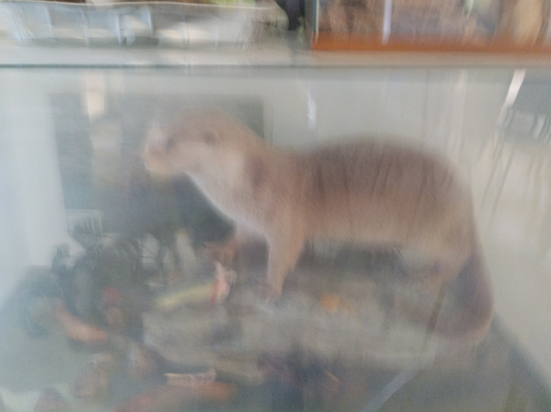 Oasi WWF di Persano-Serre必去景点