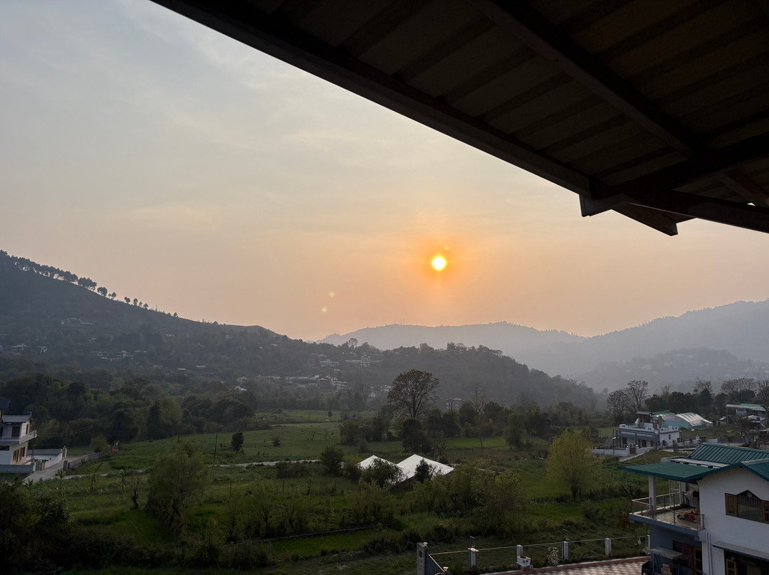 Hotel Spring Birds主图