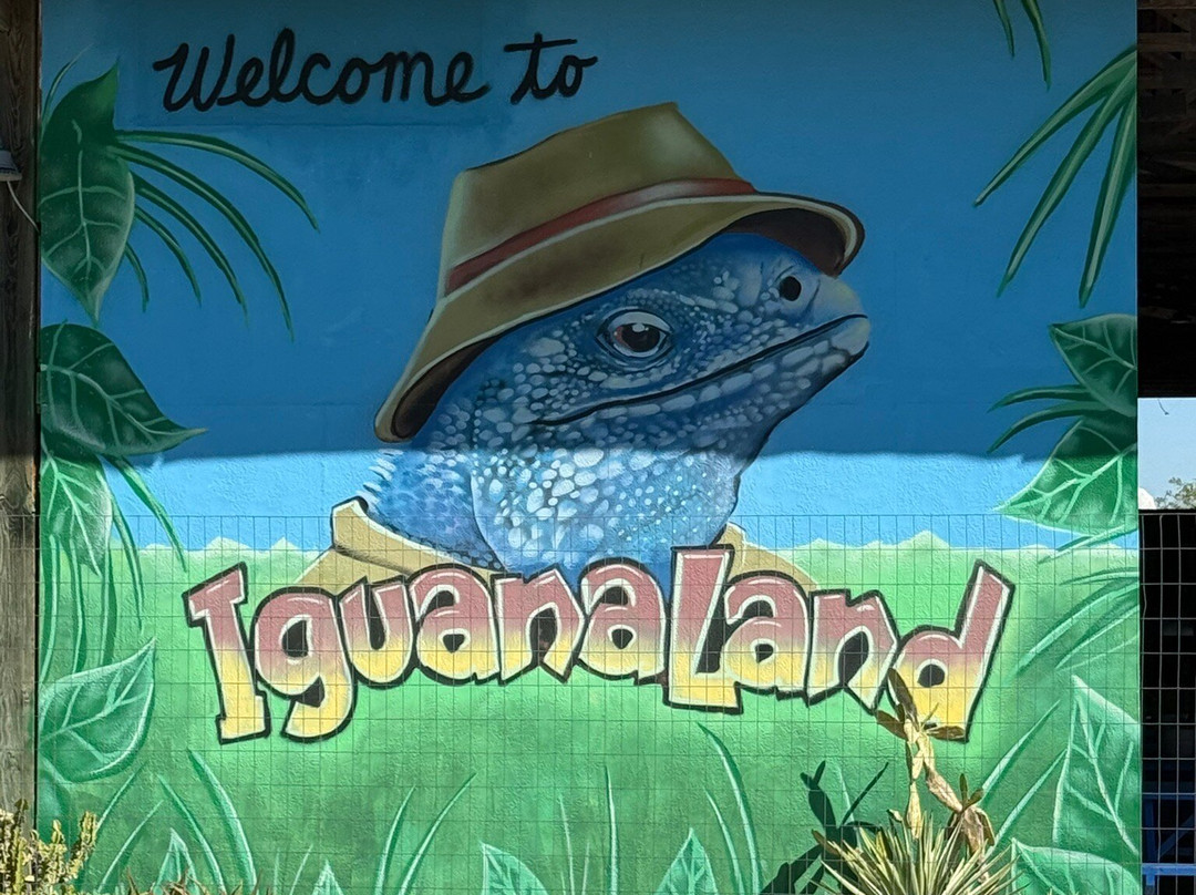 Iguanaland-蓬塔戈尔达必去景点