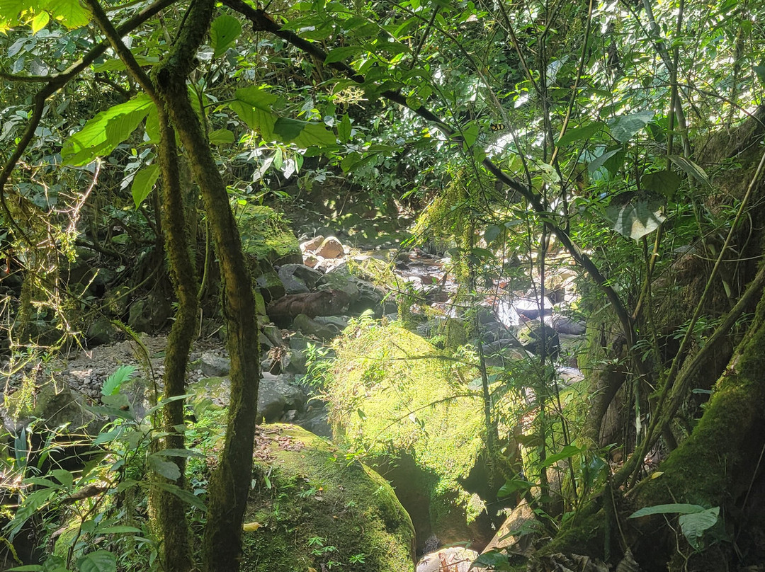 El Chorro Macho景点图片
