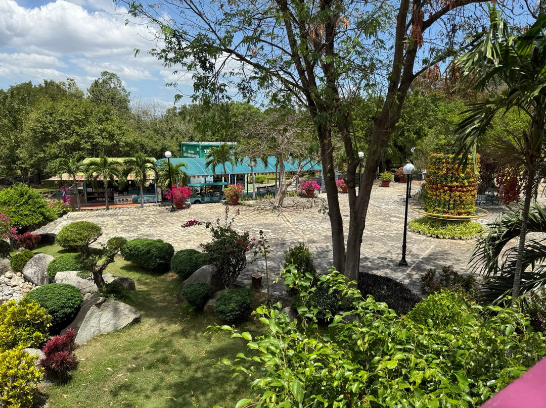 Núi Tà Cú景点图片