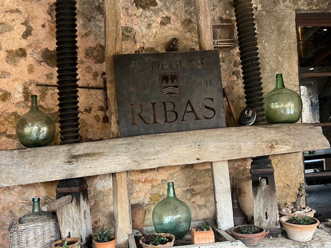 Bodega Ribas景点图片