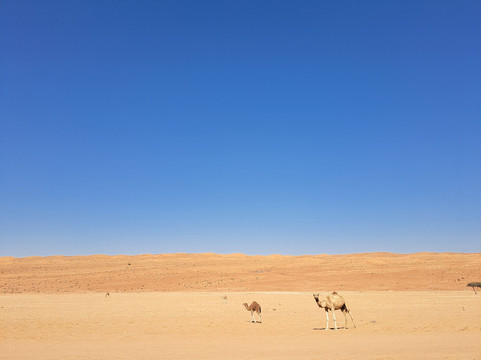 O-touring And Tourism-马斯喀特必去景点