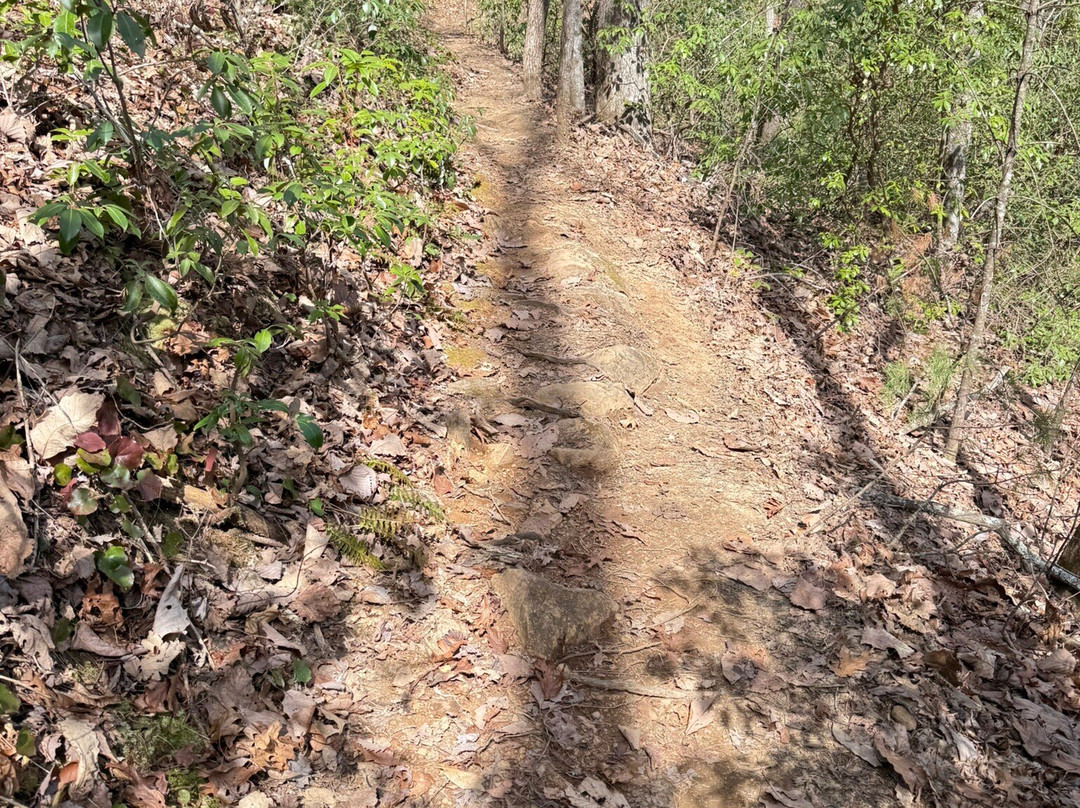 Long Creek Falls景点图片