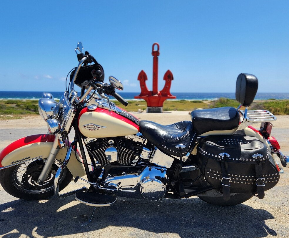 Aruba Motorcycle Tours景点图片