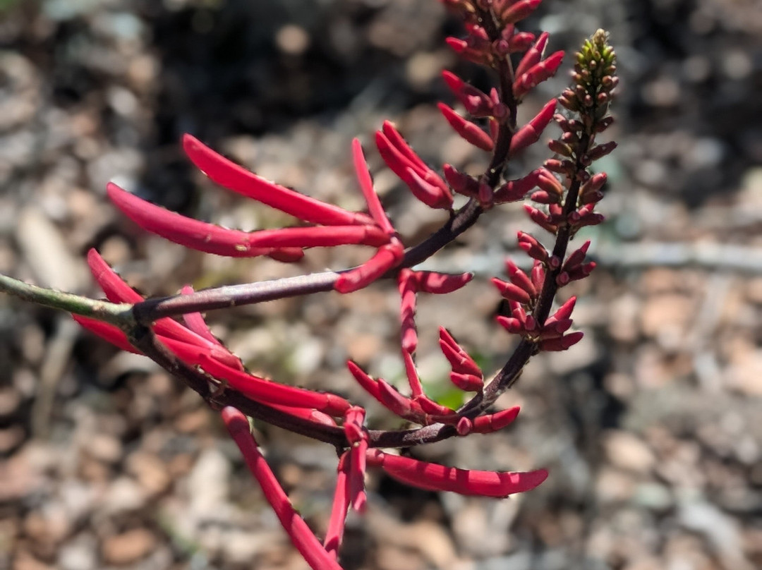 Tiger Creek Preserve-莱克威尔士必去景点
