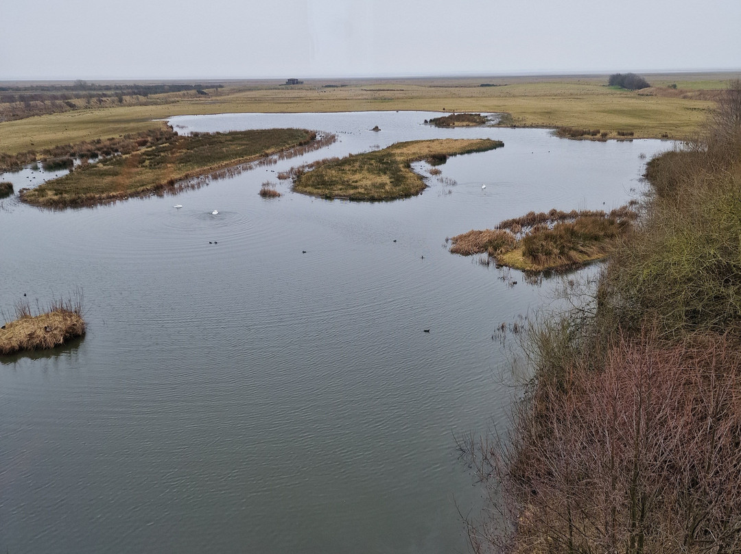 WWT Caerlaverock Wetland Centre-邓弗里斯必去景点