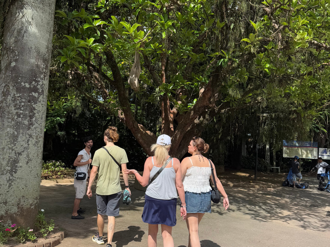 Blumenau Walking Tour-Blumenau必去景点