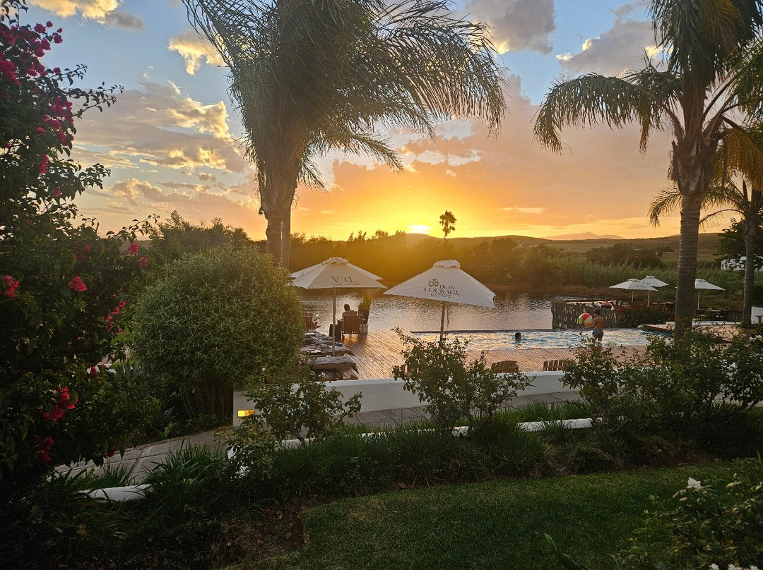 Thelab Robertson主图