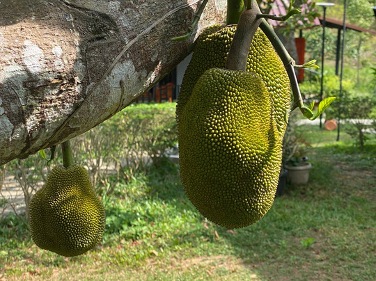 Green Mountain Resort Koh Yao主图